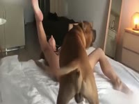Dog girl porn